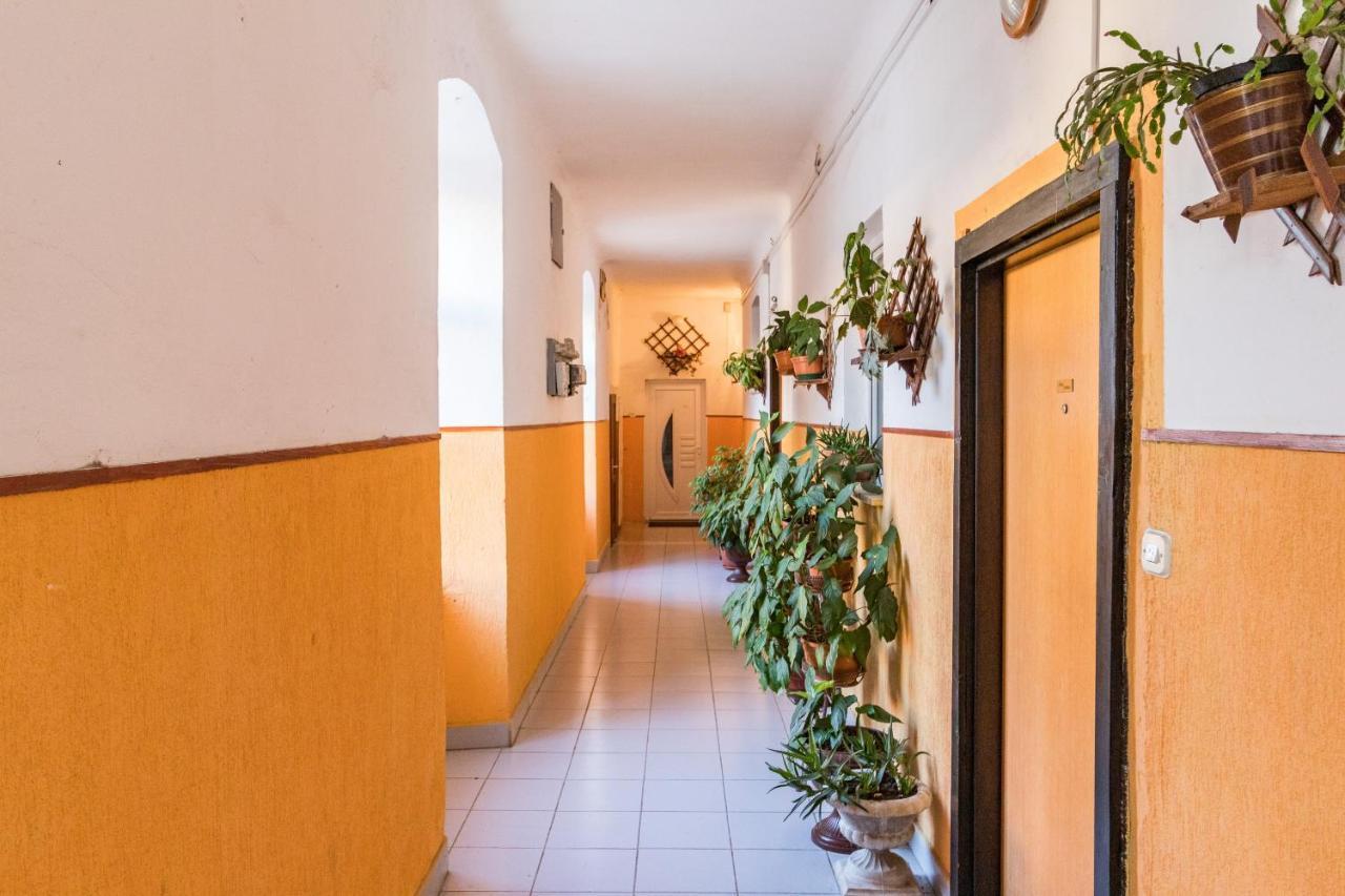 Apartman Lussi Póla Kültér fotó